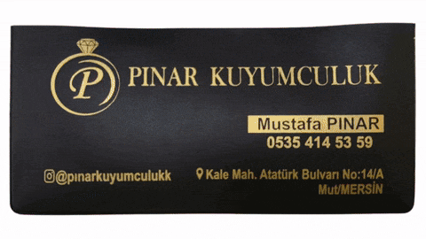 Döviz kabı döviz kılıfı döviz reklamı
